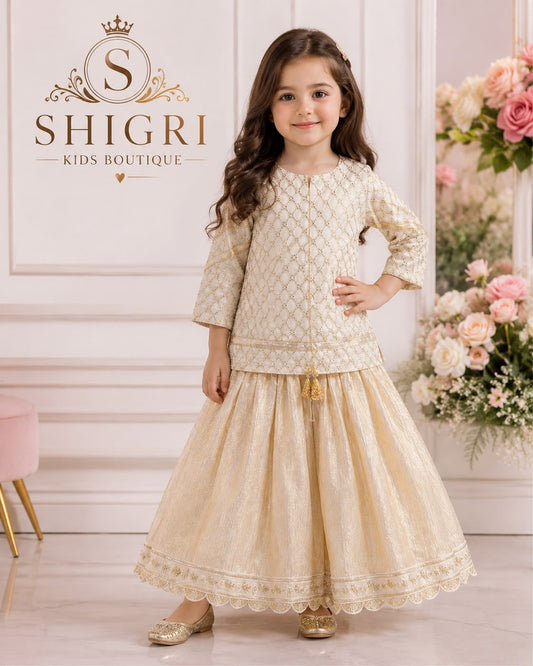 Baby Fancy Sequin Sharara Suit