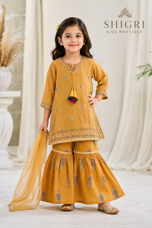 Striped Paisley Embroidered Gharara Suit