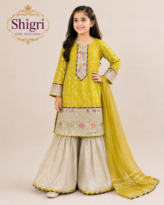 3D Embroidered 4-Sequence Garara Suit