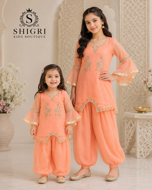 Peplum Style Chiffon Handwork Suit