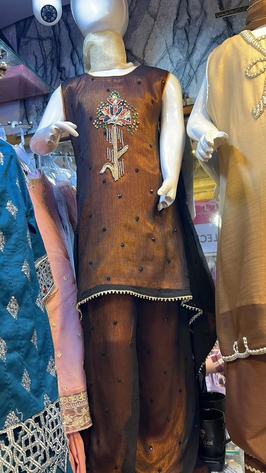 Chiffon Handwork Palazzo Suit - 2
