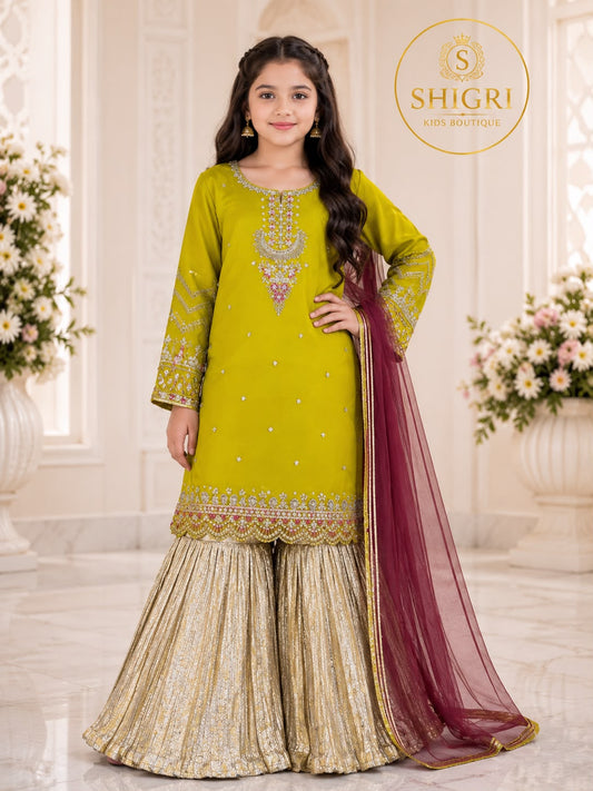 Shefoon Hand Embroidered Garara Suit