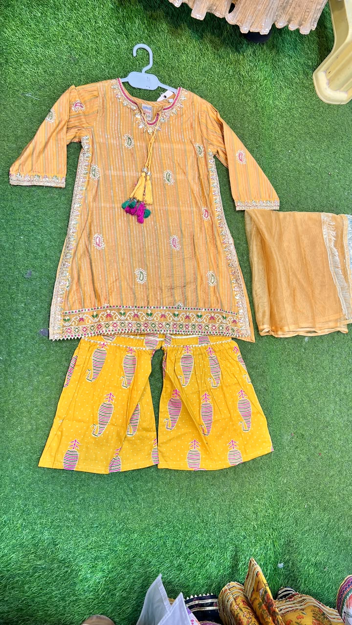 Striped Paisley Embroidered Gharara Suit - 2