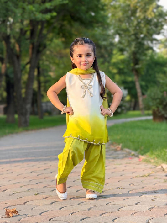 Day & Day Shefoon Farshi Shalwaar Suit