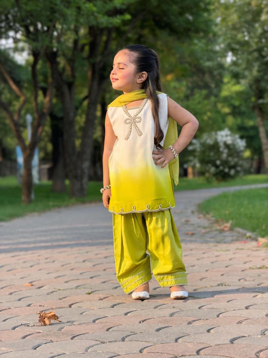 Day & Day Shefoon Farshi Shalwaar Suit - 2