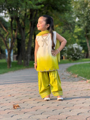 Day & Day Shefoon Farshi Shalwaar Suit - 2