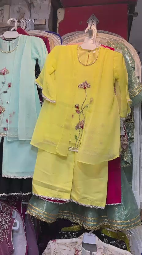 Organza Gown Style Palazzo Suit
